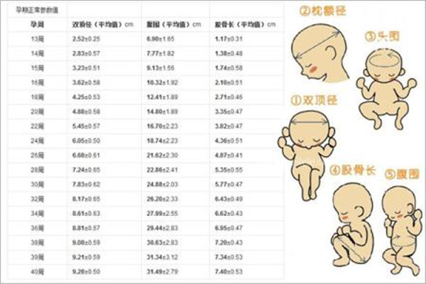 关于双顶径减股骨长判断男女的准确性,说说我的看法.