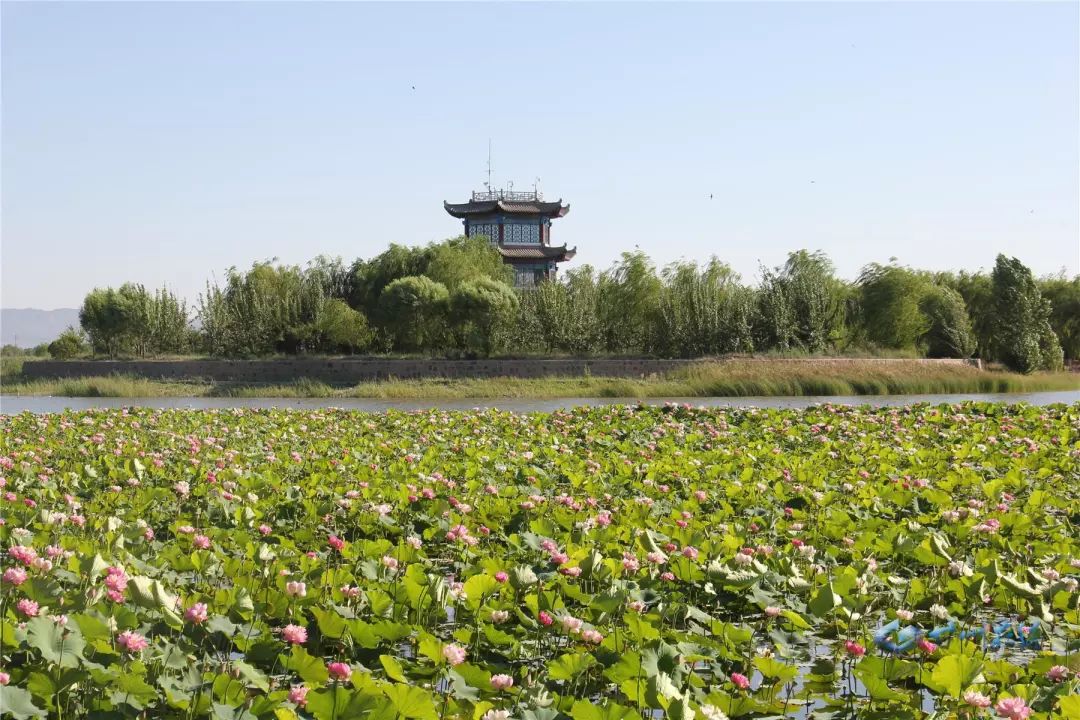 张掖润泉湖公园风景如画