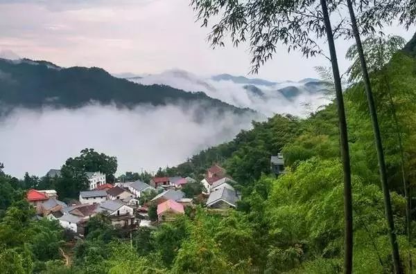 一家书店,温暖了一个山村.