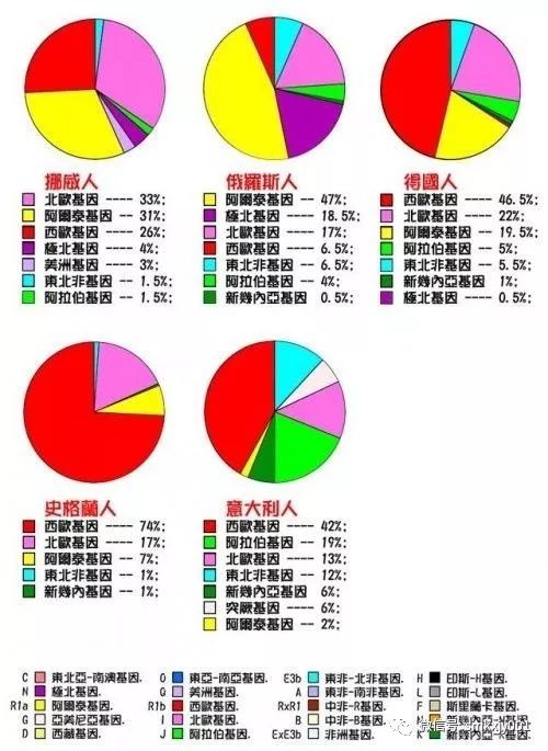 各个民族的纯种度从这张图中可以看出:还有其它小分布基因桃红色:东北