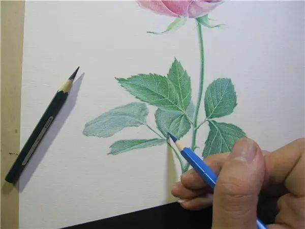 教程 | 教你用彩鉛畫一朵玫瑰花！ 生活 第7張