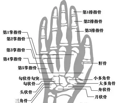 一个公式，预测孩子未来的身高(附身高标准对照表)