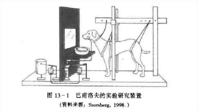 高潮的原理是什么_白带是什么图片(3)