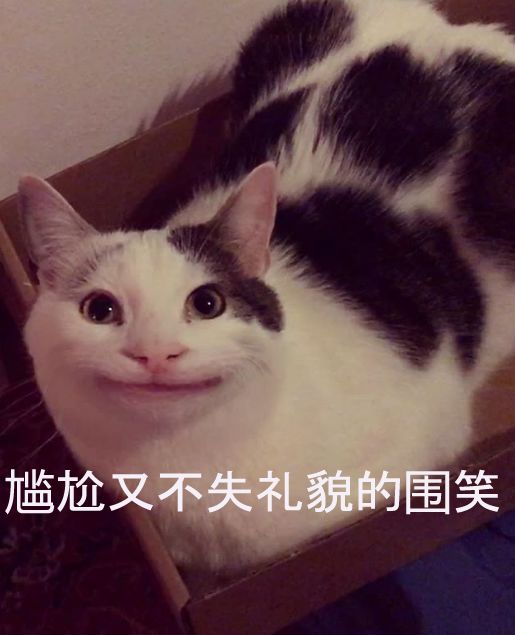 一脸蜜汁假笑的喵星人爆红,真有这样的猫吗你不要骗我!