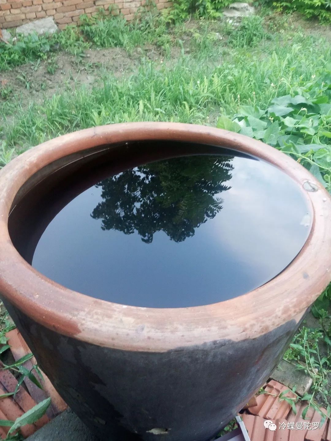 这个东西在我们这边叫"瓮,盛水用的~家门外小菜园旁边放着一个,里面