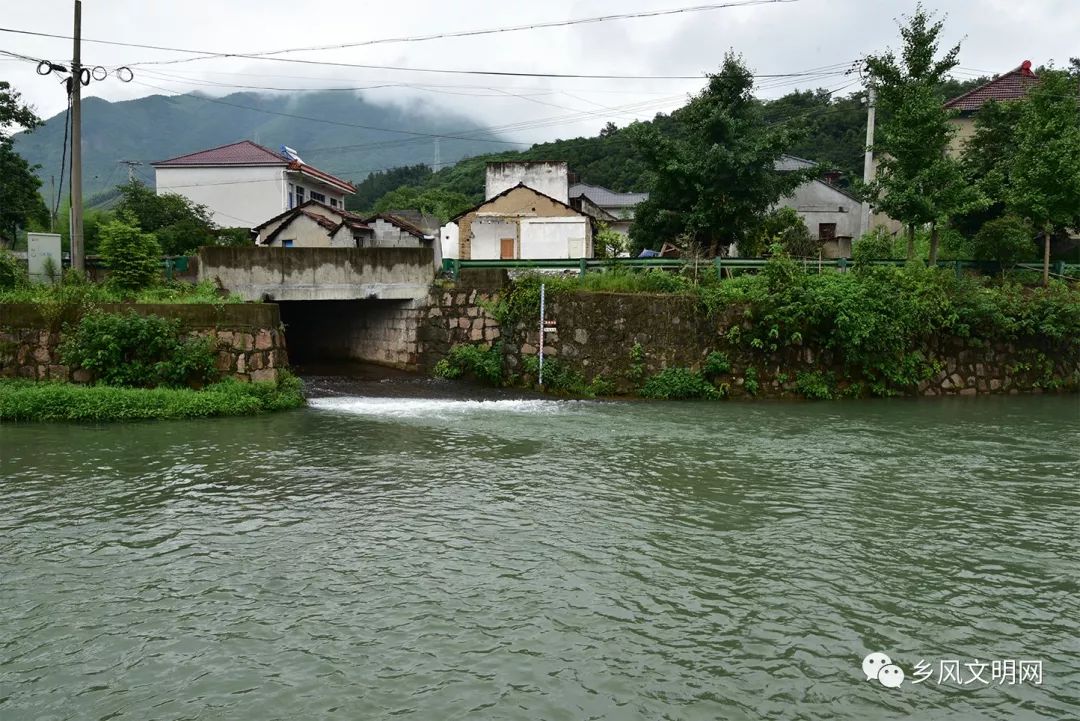 2018年7月3日《你是好村官》摄制组走进百丈镇溪口村拍摄村党委书记