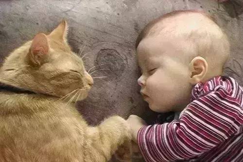宝宝只能抱着睡怎么办