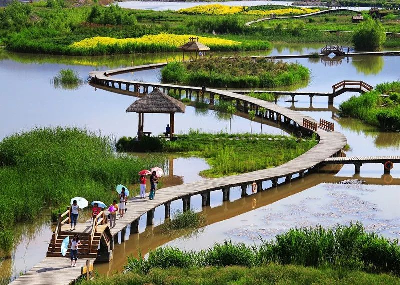 银滩湿地公园