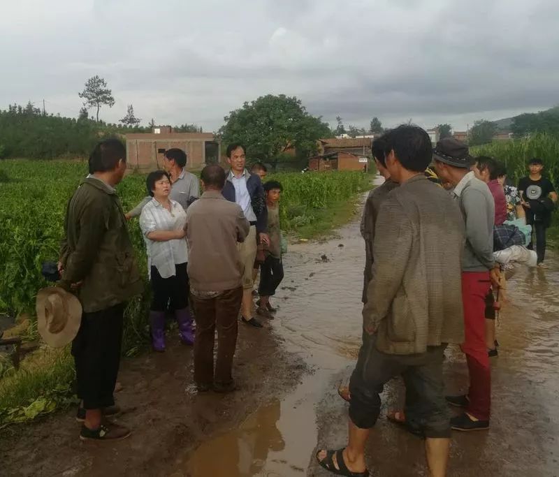 昭通布嘎乡遭受冰雹袭击!烤烟被打成这样.