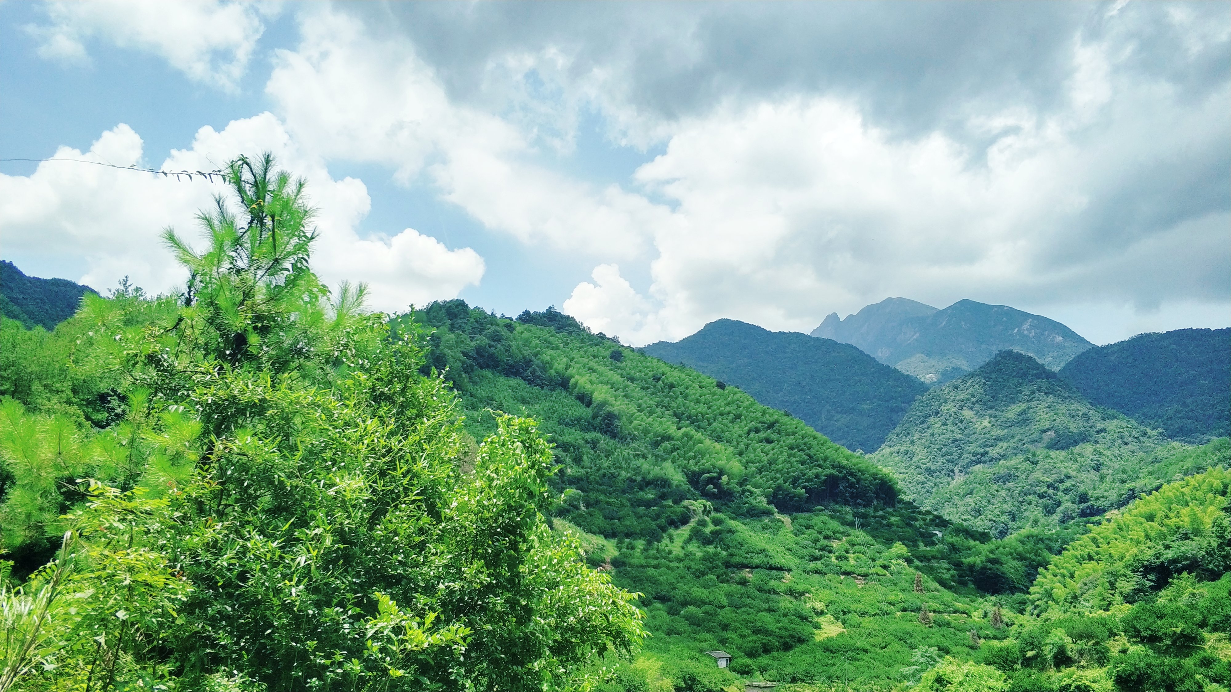 南丰沙岗村人口多少_肇庆南丰镇汶塘村