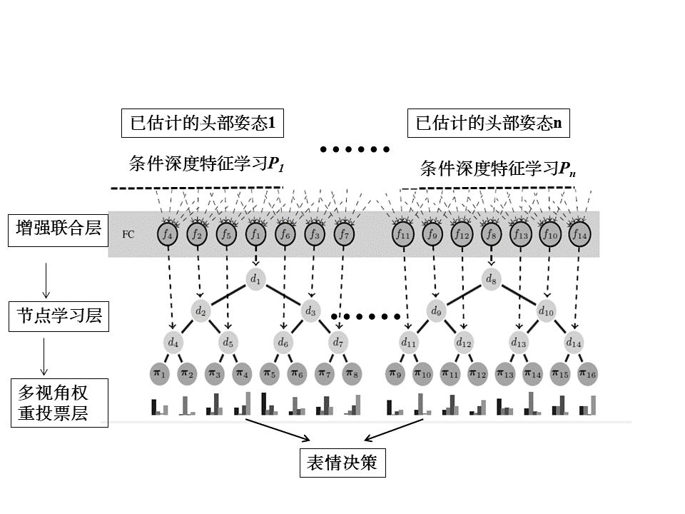 森林循环圈人口_血液循环图