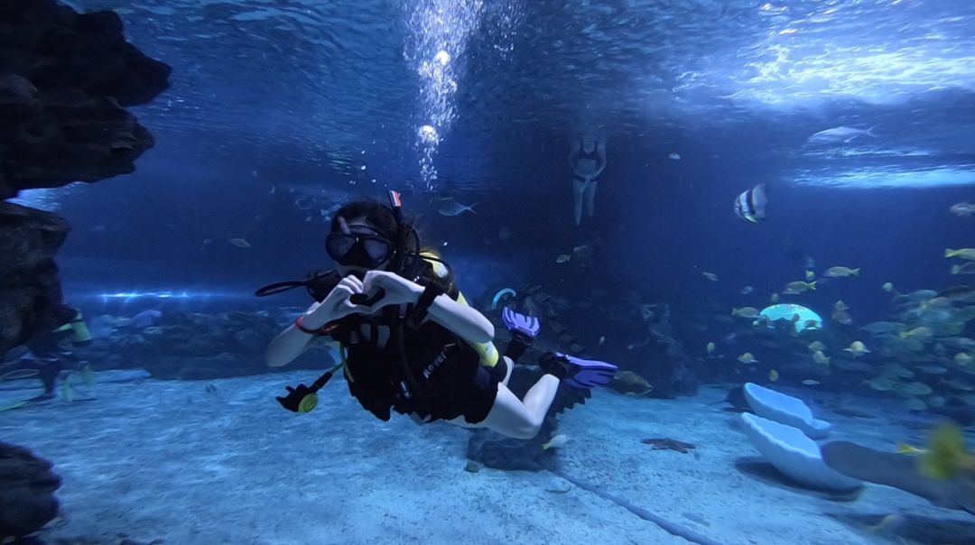 今年,共有32家 padi 潜水中心组织了线下活动, 潜水员们尽情享受了