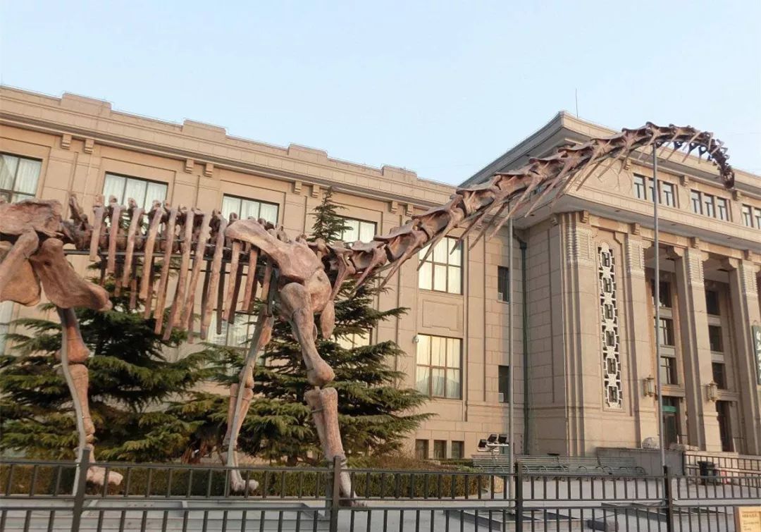 国家宝藏系列北京自然博物馆
