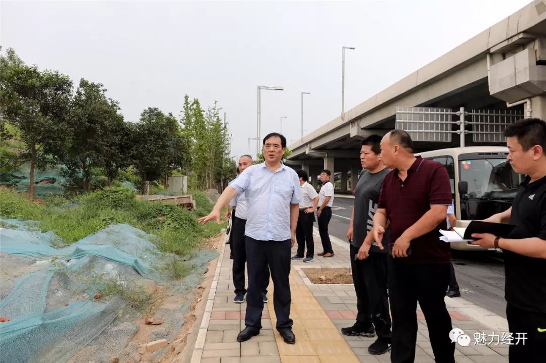 樊福太带队调研城区道路交通综合整治城市精细化管理和秋冬季绿化工作