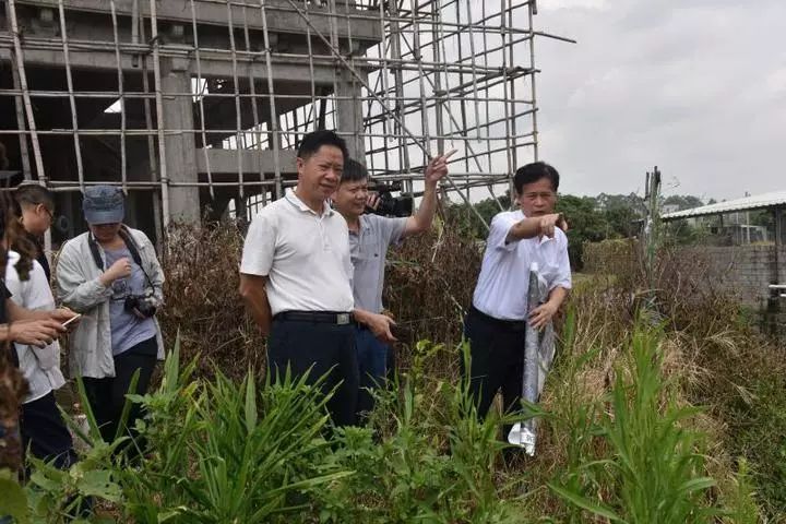 警法 正文  周镇松一行先后实地查看了井都镇破肚沟新明村段,陇田镇新