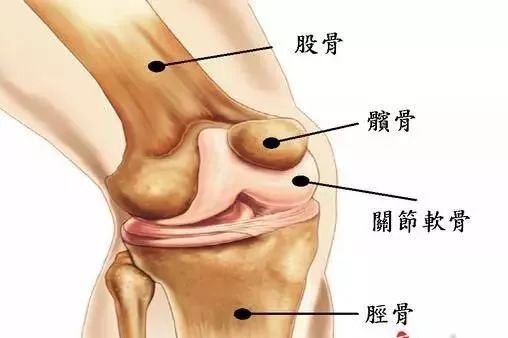 经常蹲着膝盖疼怎么办