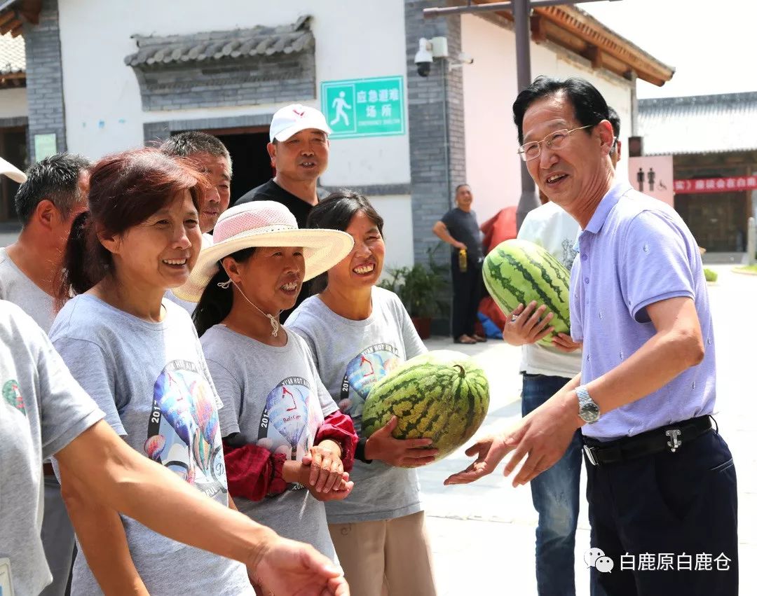 白鹿仓老总(3)