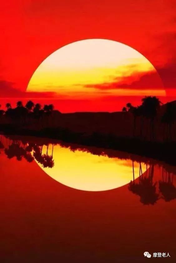 的 橙红色夕阳 染红了天边的晚霞 倦鸟归巢穴 喜欢夕阳如虹,晚霞似火