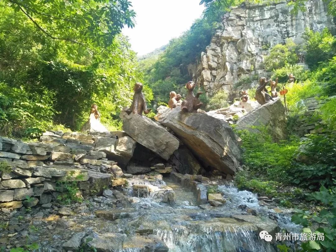 青州新晋避暑胜地~古木参天,清泉涌流,尽享夏日清凉!