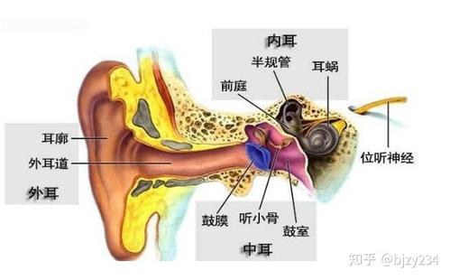 宁波彩虹南路惠耳听力-神经性耳聋能治疗吗?