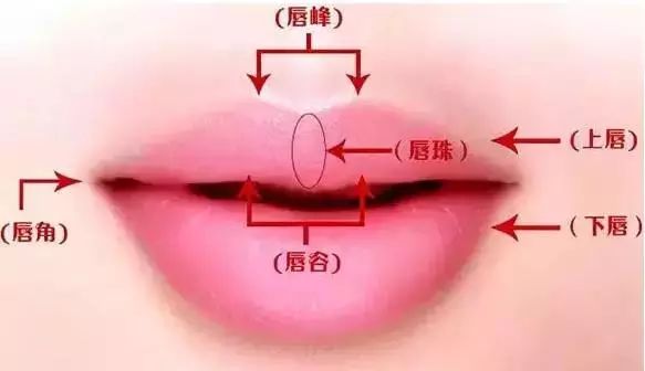 什么峰突起的成语_生物中什么是突起(3)