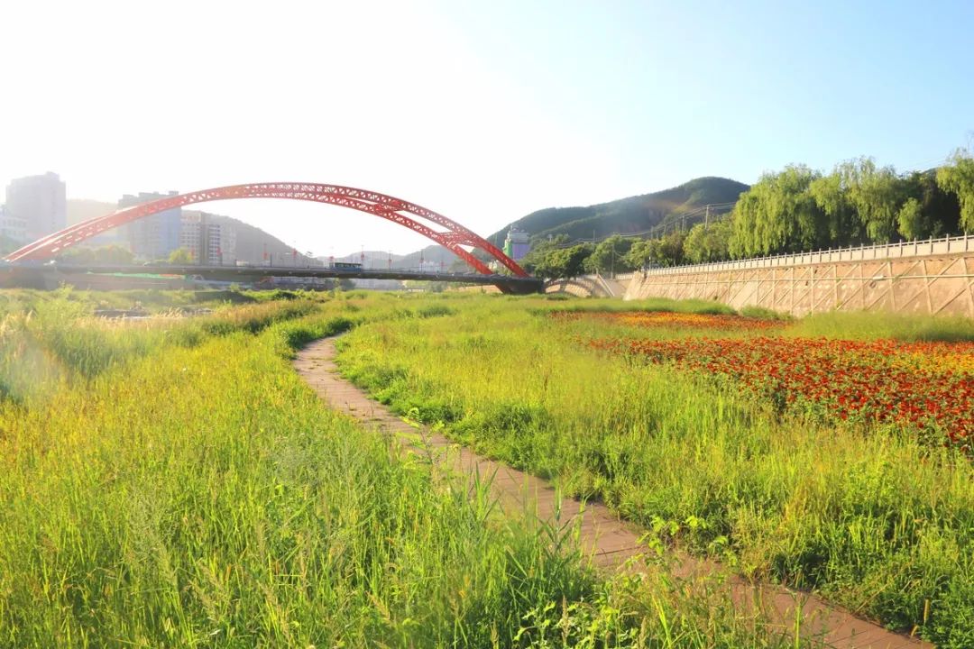 水清岸绿 鲜花争艳 我市延河综合治理工程成效显著