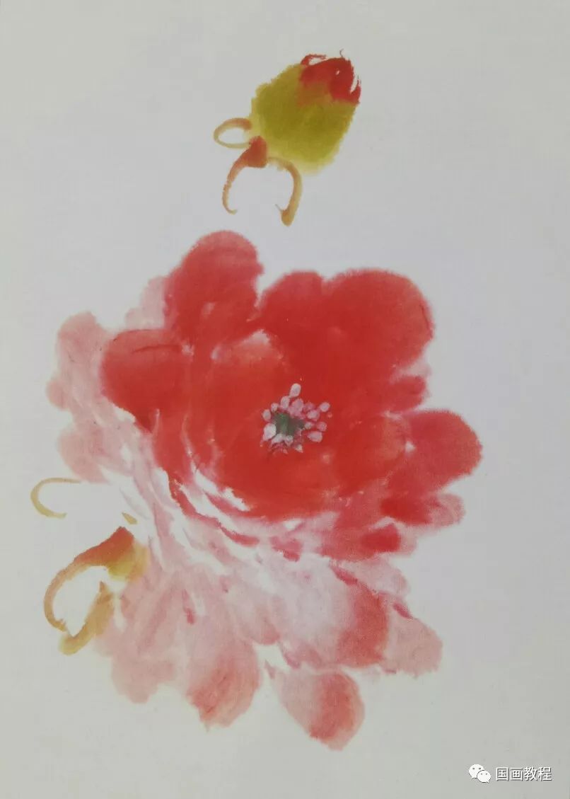 【小写意花卉】芍药,公鸡的画法