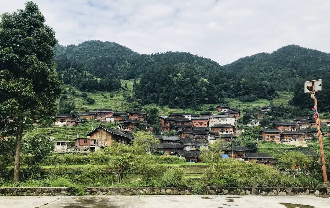 被誉为"梯田托起的村庄"贵州省/黔东南苗族侗族自治州/雷山县/丹江镇