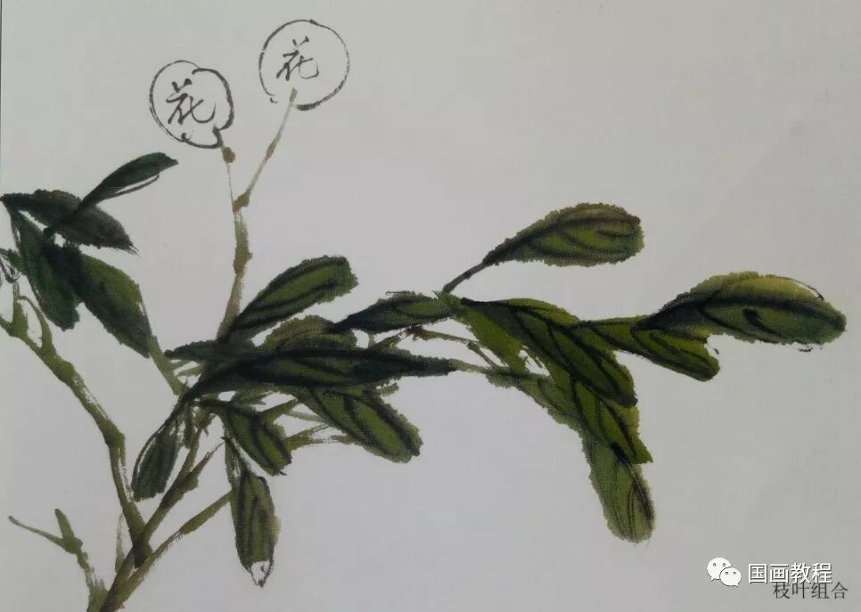 可用墨画,也可用草绿加墨画,画法基本和桃叶相似