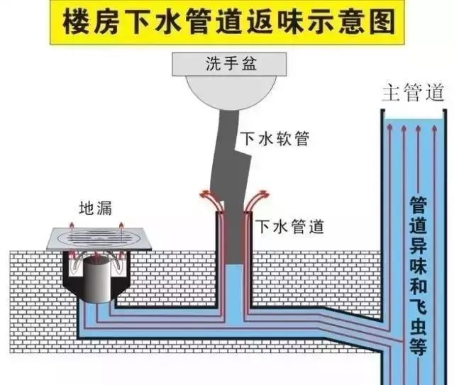 厨房下水道反味怎么办?可以这样处理!