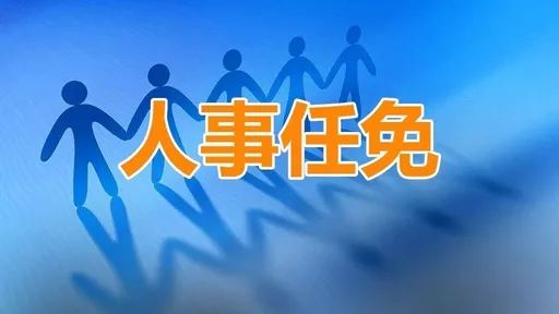 阜南县最新一批人事任免来袭这些领导干部职位有变动