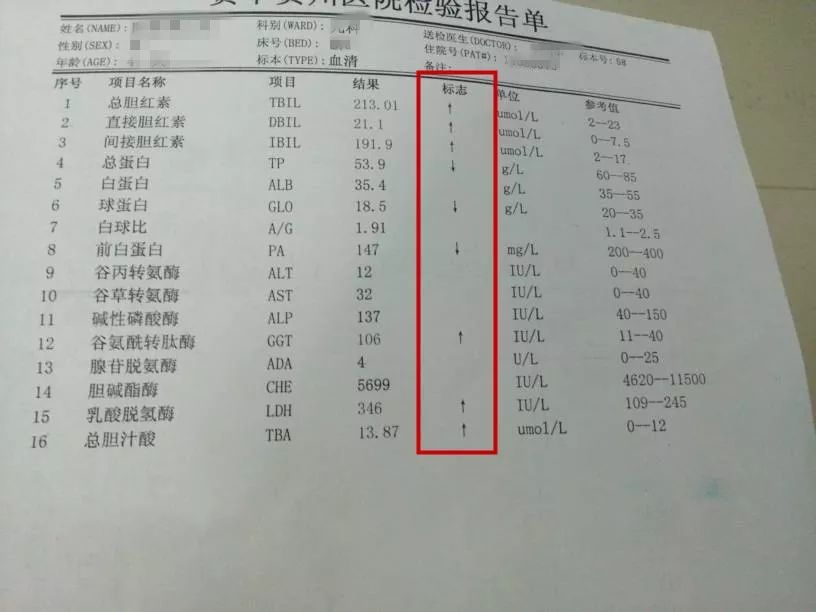 3,报告单上的小箭头有的超出了参考值,有的2,验完血各种指标看不懂?