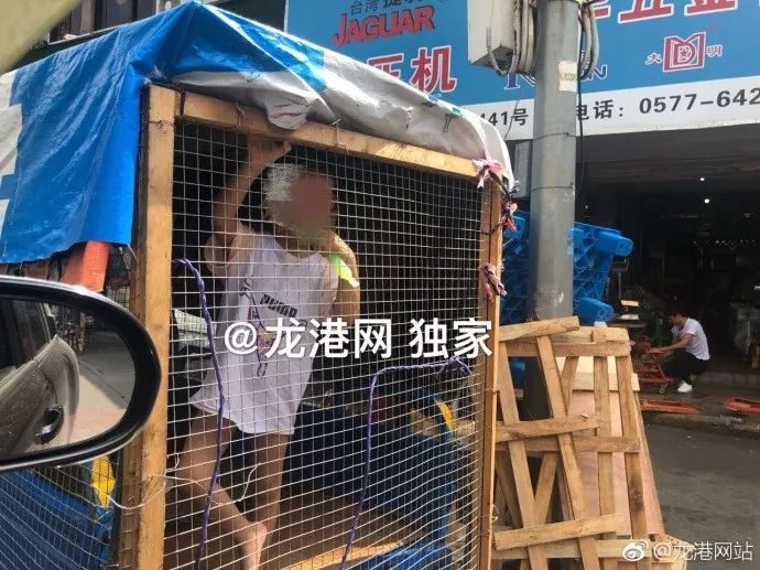 龙港惊现"铁笼车",里面关着小男孩,真实情况让人感动!