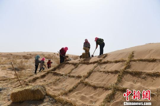 2018年3月下旬,甘肃临泽县民众用大面积麦草方格治沙,在巴丹吉林沙漠