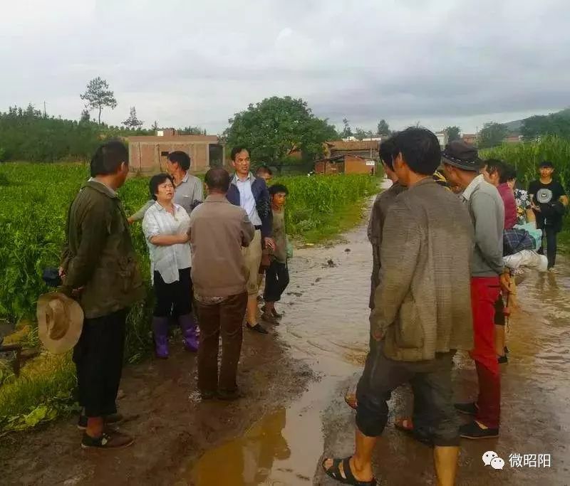 冰雹灾害昨日袭击昭阳区布嘎乡,农作物受灾情况正在核实中