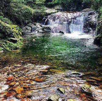 金鸡谷景区内的老鸦尖为鄂南第一峰,也是幕阜山脉最高峰.