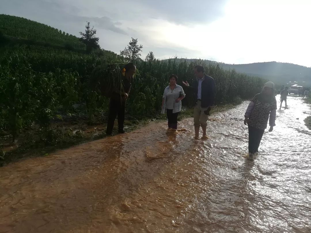 冰雹灾害昨日袭击昭阳区布嘎乡,农作物受灾情况正在核实中