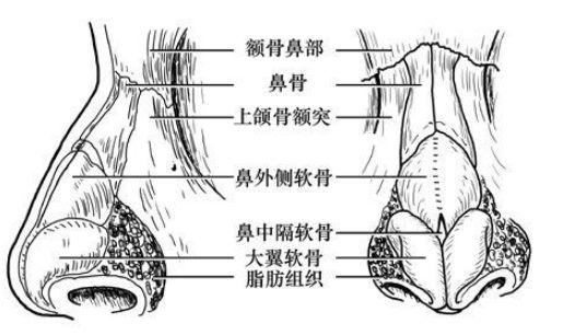 首大冯文凤鼻中隔偏曲暗藏哪些杀机