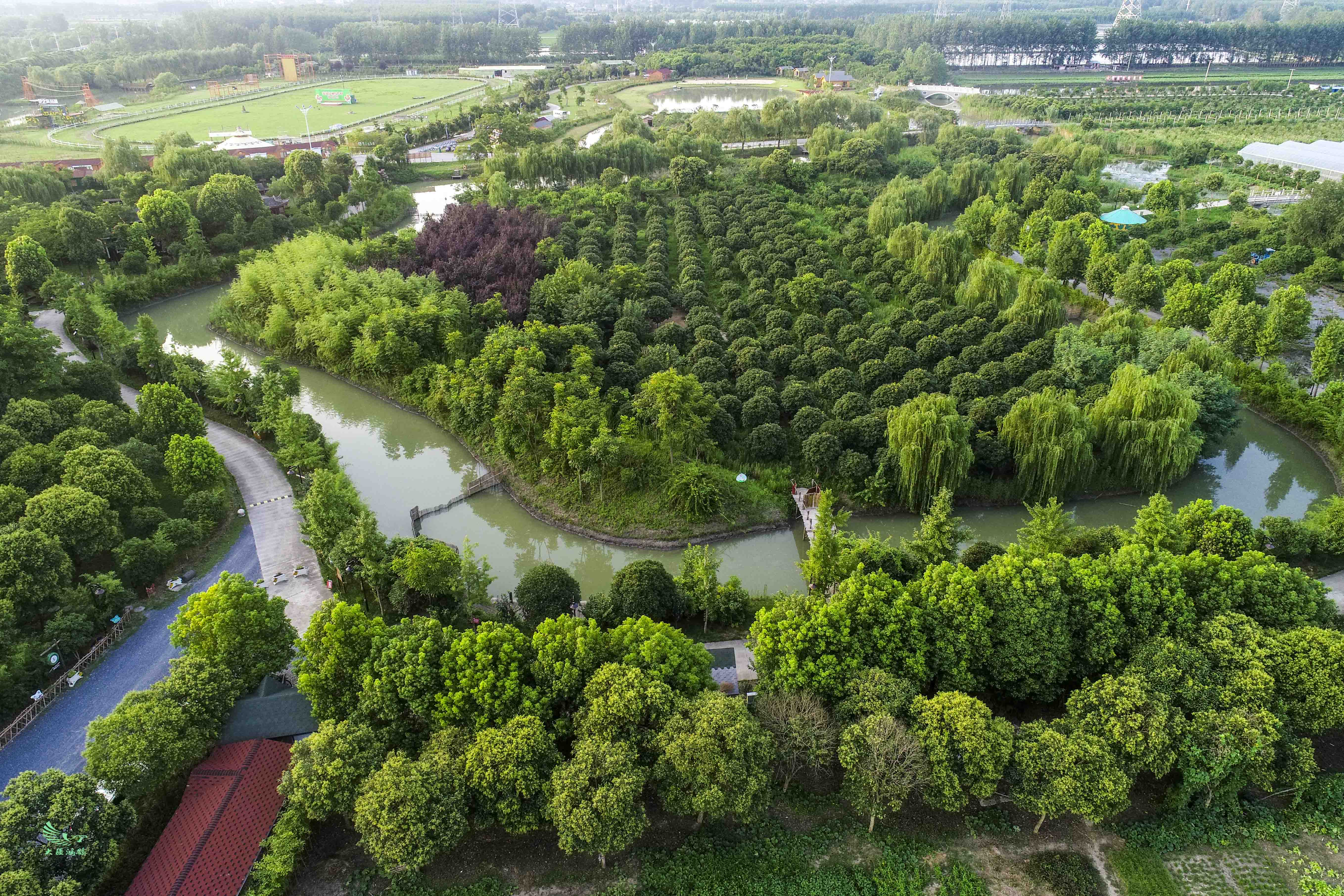 这是7月27日航拍的泰州姜堰溱湖绿洲自然景观.