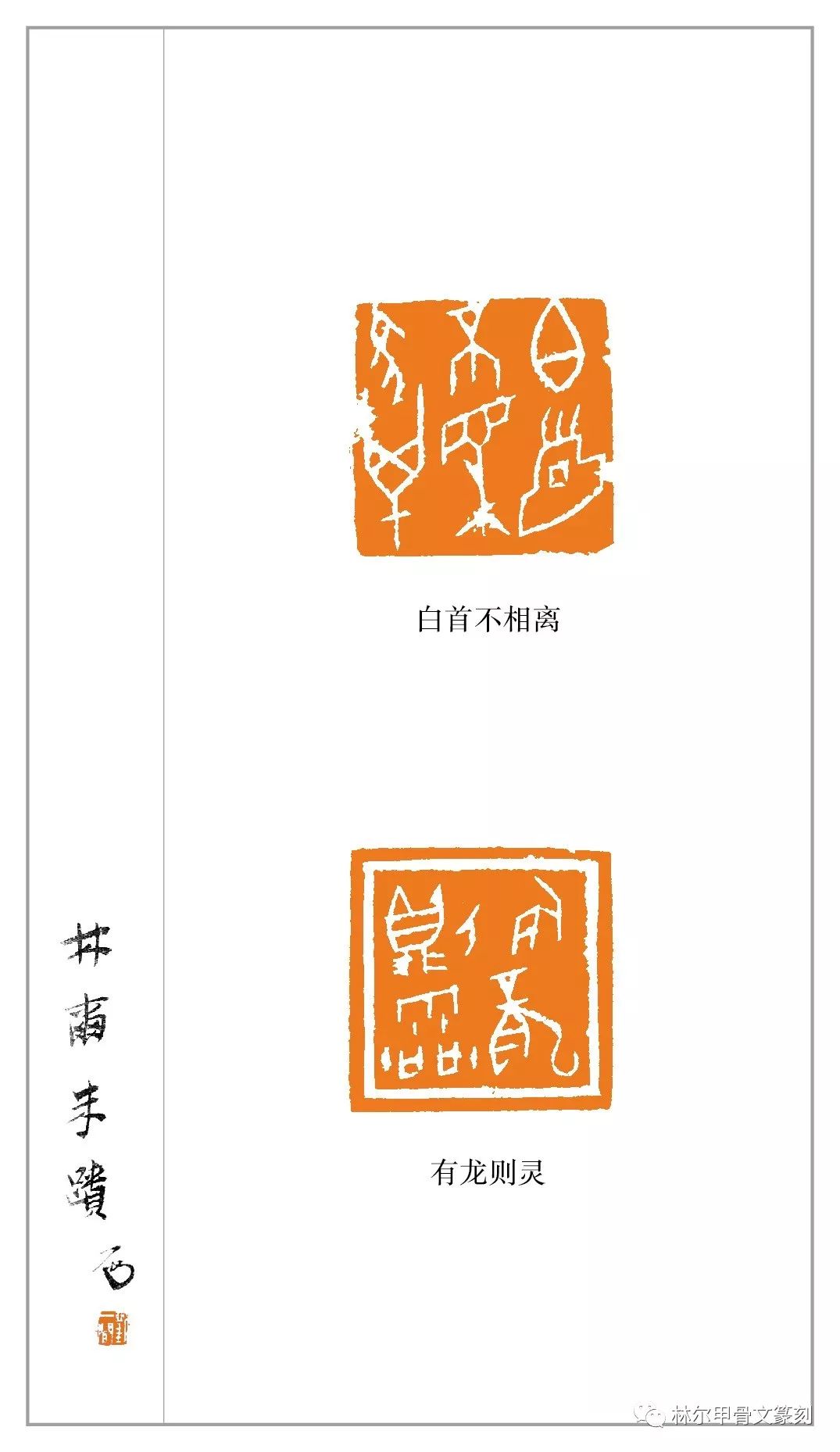 聚焦| 林尔 陆晨辉"全国第八届篆刻展投稿创作冲刺班"