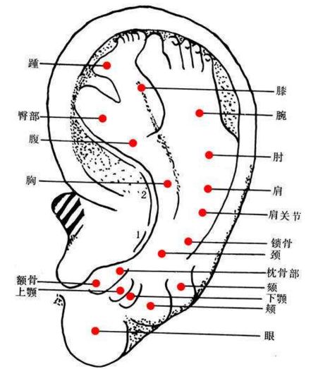 耳后止痛贴是什么原理_钱是万能止痛贴图片