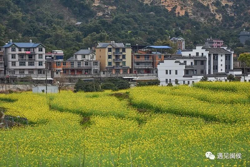 一村一故事惊闽侯这个小山村曾极尽繁华昔日小重庆名不虚传