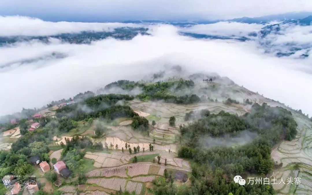 白土镇位于万州区区境东南部