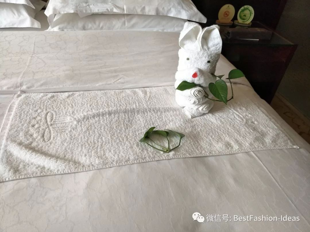酒店业首届客房创意毛巾折叠大赛!颠覆传统!脑洞大开!