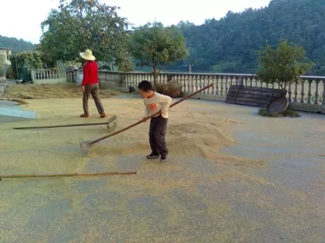 漳浦人口有多少_...,却被99 的漳浦人忽视了,来看看