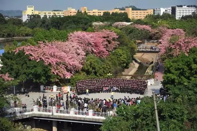 从化十校介绍广州大学华软软件学院