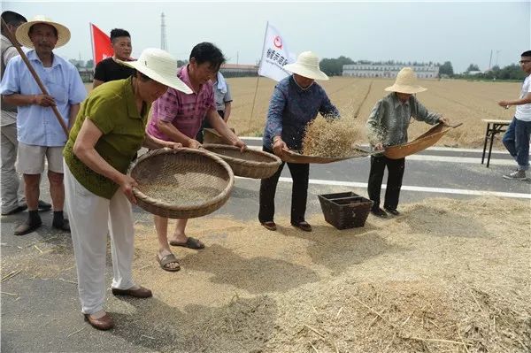 让粒粒皆辛苦的观念深入人心打造农城品牌倡导节约粮食重现童年记忆传