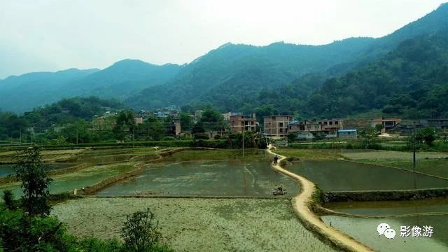 龙塘村人口_吴川市樟铺镇龙塘村(2)