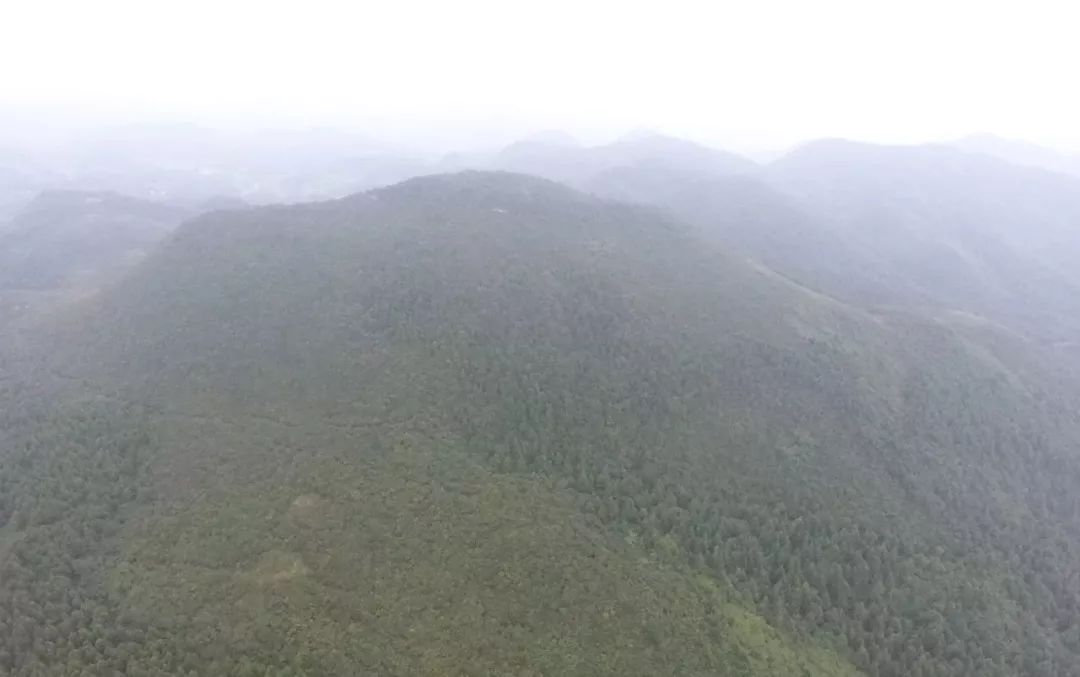 湖南龙山县有多少人口_强降雨致南方多地灾情严重