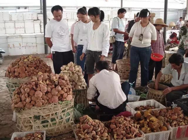 山珍配海味！美食大图看得人直流口水！b体育(图1)